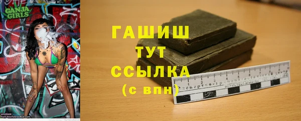 мдпв Бородино