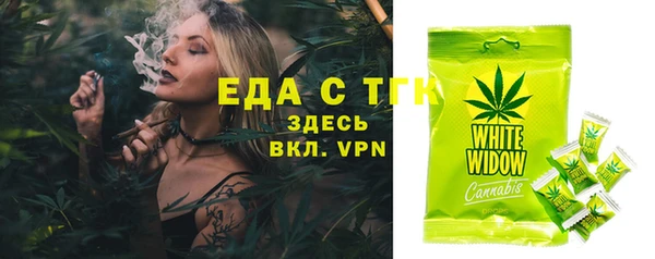 мдпв Бородино