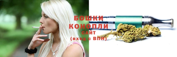 мдпв Бородино