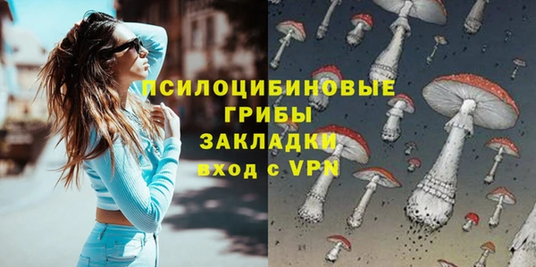 мдпв Бородино