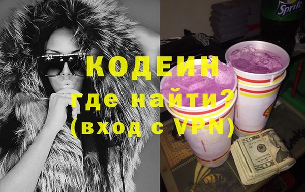 мдпв Бородино