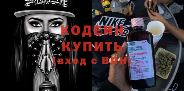 мдпв Бородино