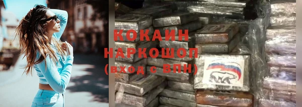 мдпв Бородино