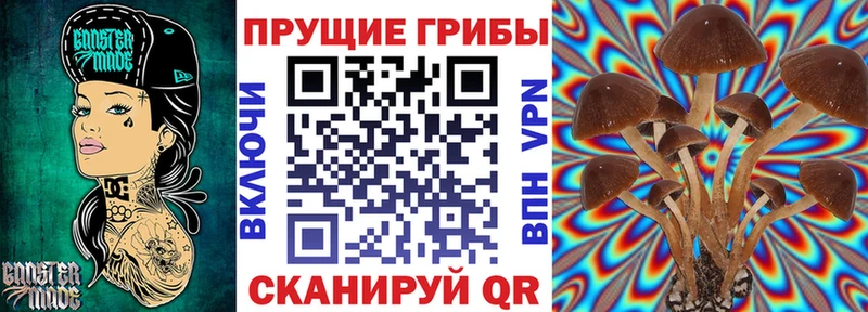 Галлюциногенные грибы Psilocybine cubensis  как найти наркотики  Хабаровск 